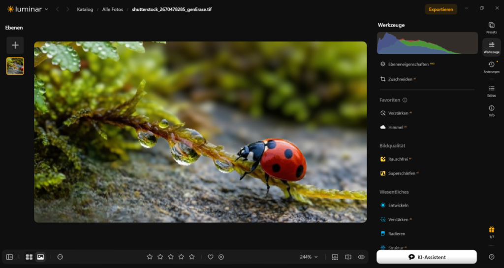 Editor mit Nahaufnahme einer Marienkäfer auf Moos | Luminar Blog