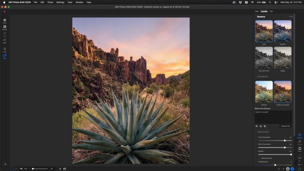 ON1 Photo RAW mit der Aufnahme einer Pflanze | Luminar Blog