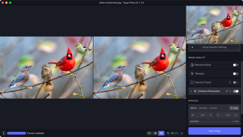 Softwareansicht mit zwei Fotos eines roten Vogels | Luminar Blog